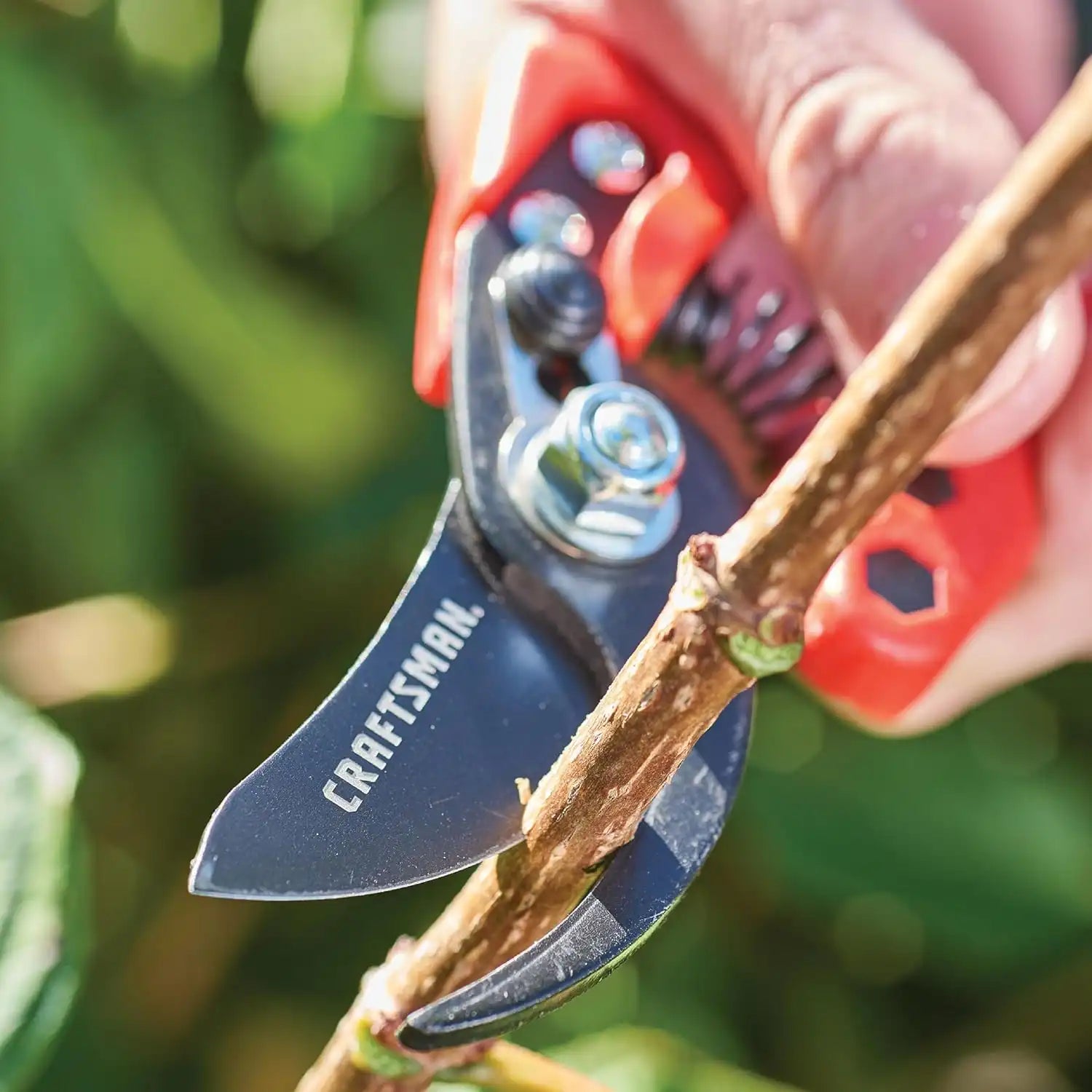 craftsmantoolsshop.com
