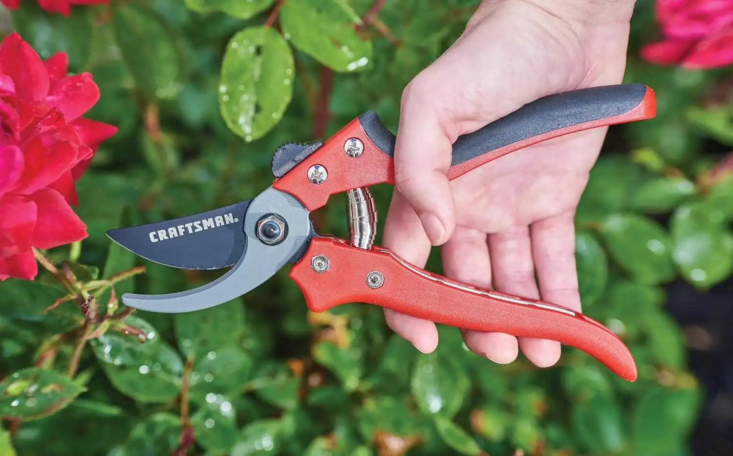 craftsmantoolsshop.com