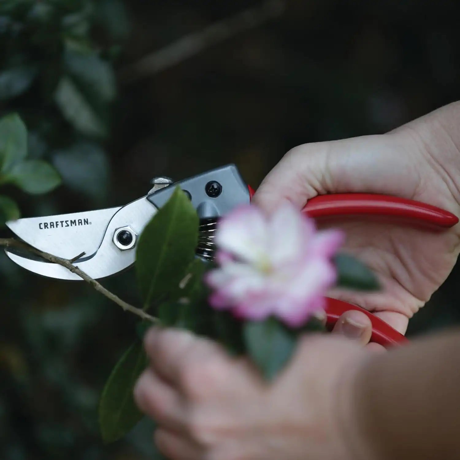craftsmantoolsshop.com