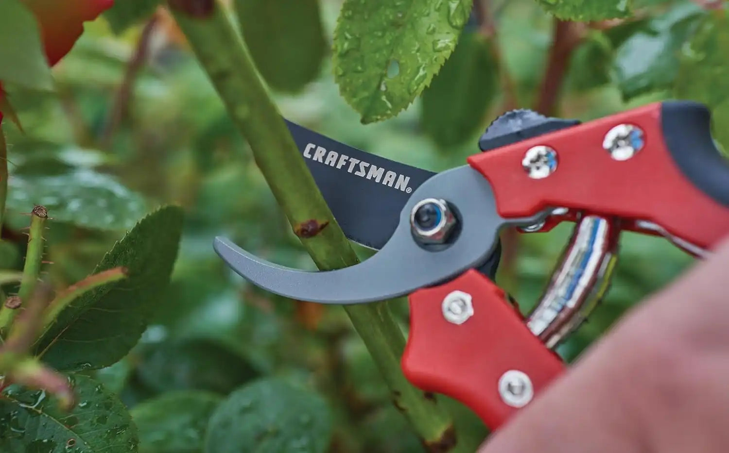 craftsmantoolsshop.com
