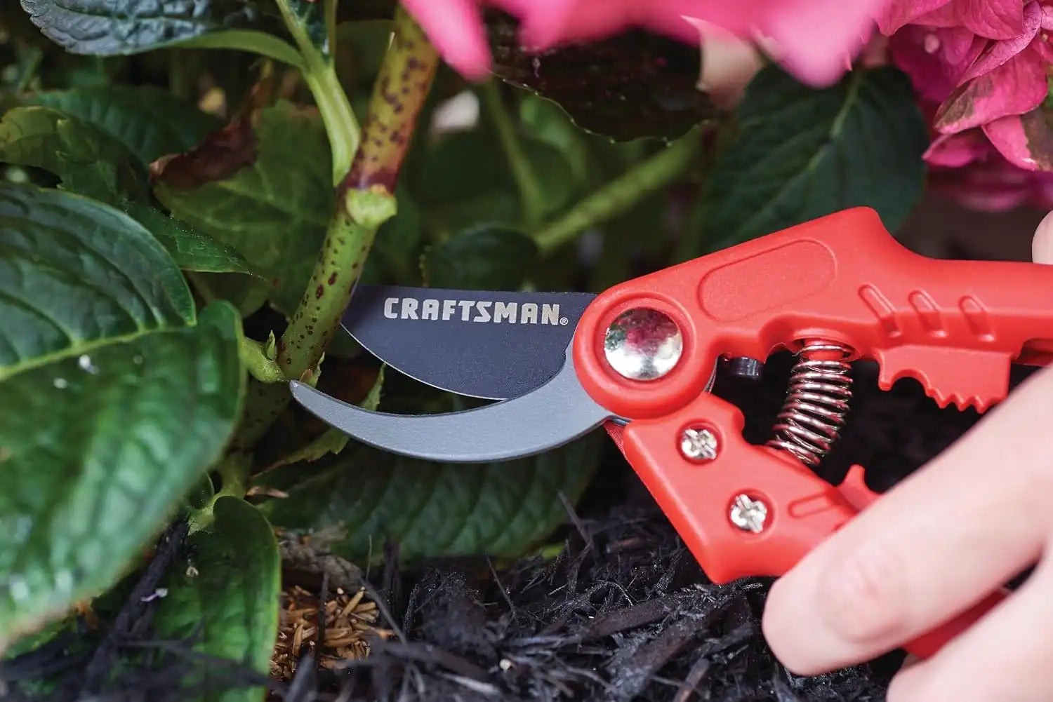 craftsmantoolsshop.com