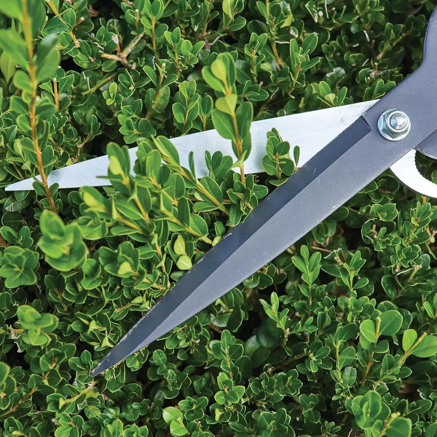 craftsmantoolsshop.com